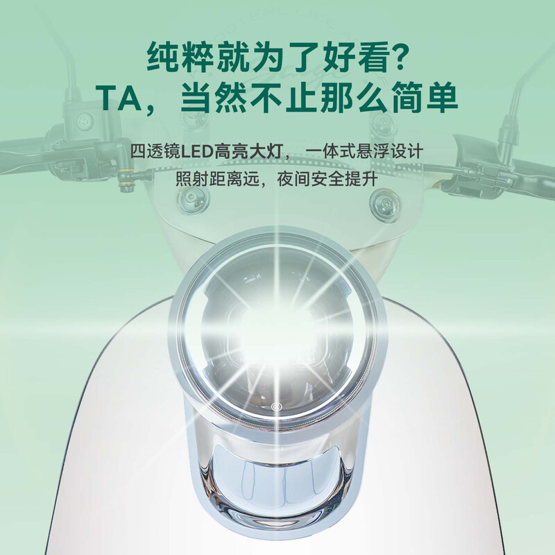 Racing pigeon electric light motorcycle Ruili 115KM long-range 72V32Ah lead-acid battery high-power high-end battery car for women high-looking commuter electric car pearlescent green