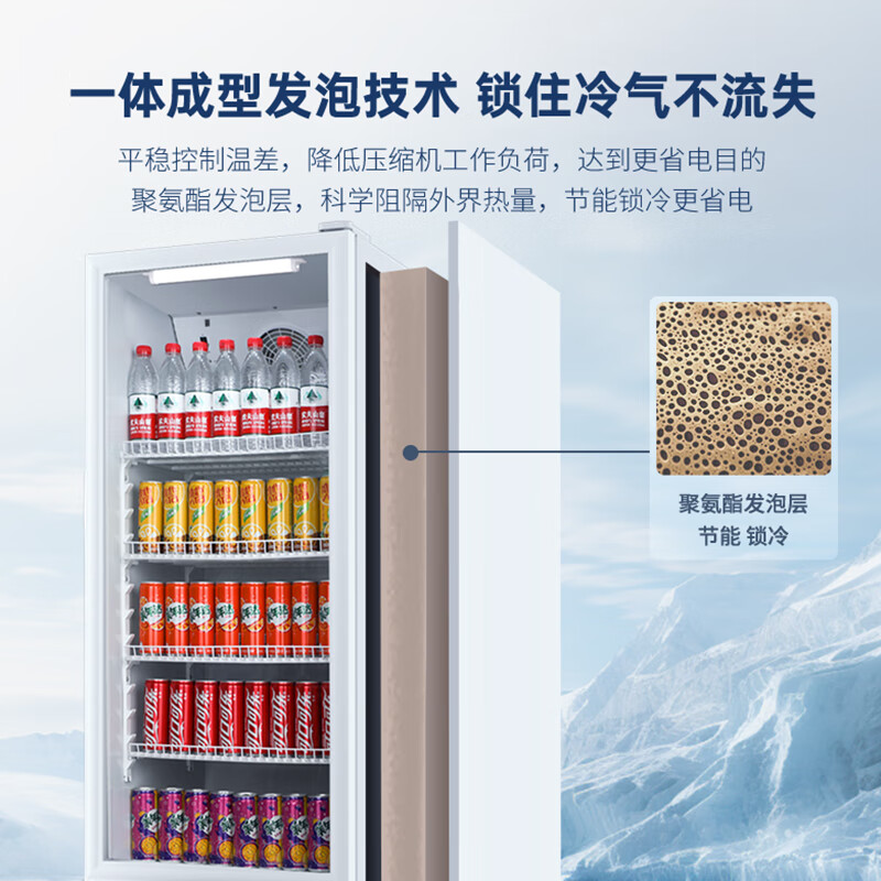 Aucma 229 liter display cabinet refrigerated fresh cabinet single door commercial refrigerator beverage beer cabinet vertical freezer ice bar flower and fruit refrigerator level 1 energy efficiency SC-229SNEB