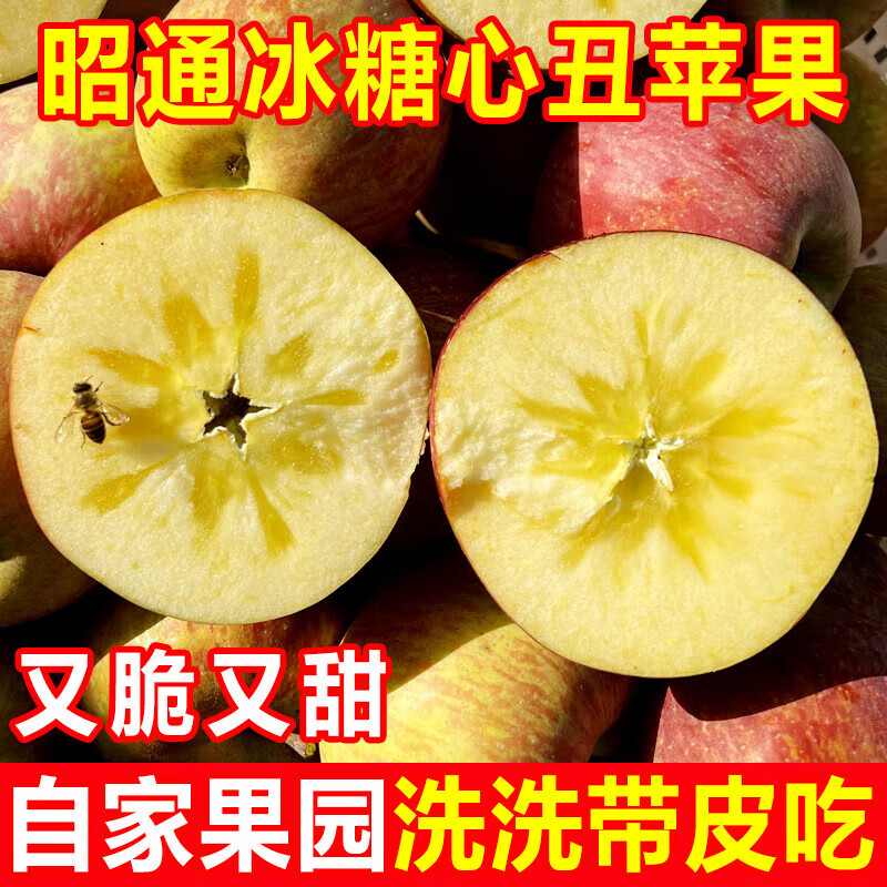 Yunnan Zhaotong rock candy heart ugly apple fruit fresh seasonal whole box Fuji red dew apple crispy sweet Mid-Autumn Festival selected fruit single fruit 50-60mm 2 catties trial pack