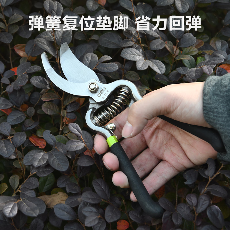 Deli pruning scissors, flower pruners, fruit tree gardening pruners, labor-saving pruning scissors, flower pruners, 8 inches DL2778