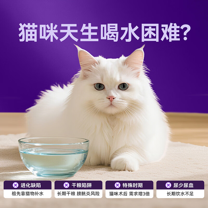 Weidangjia Vitality Chicken Soup Pet Cat Snacks Cat Hydrating Soup Packs 60g*10 Bags Hydrating Canned Wet Food Ton Ton Can Cat Strips