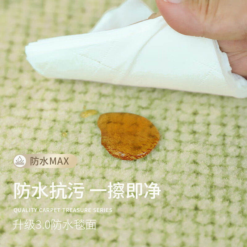 Budisi autumn and winter carpet living room high-end minimalist fresh American pastoral style green waterproof plush sofa thickened no-wash tea garden morning dew 200*300CM