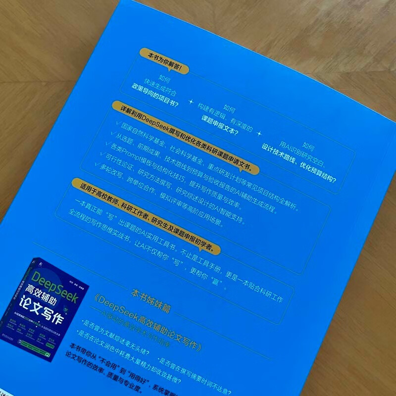 DeepSeek efficiently assists project declaration