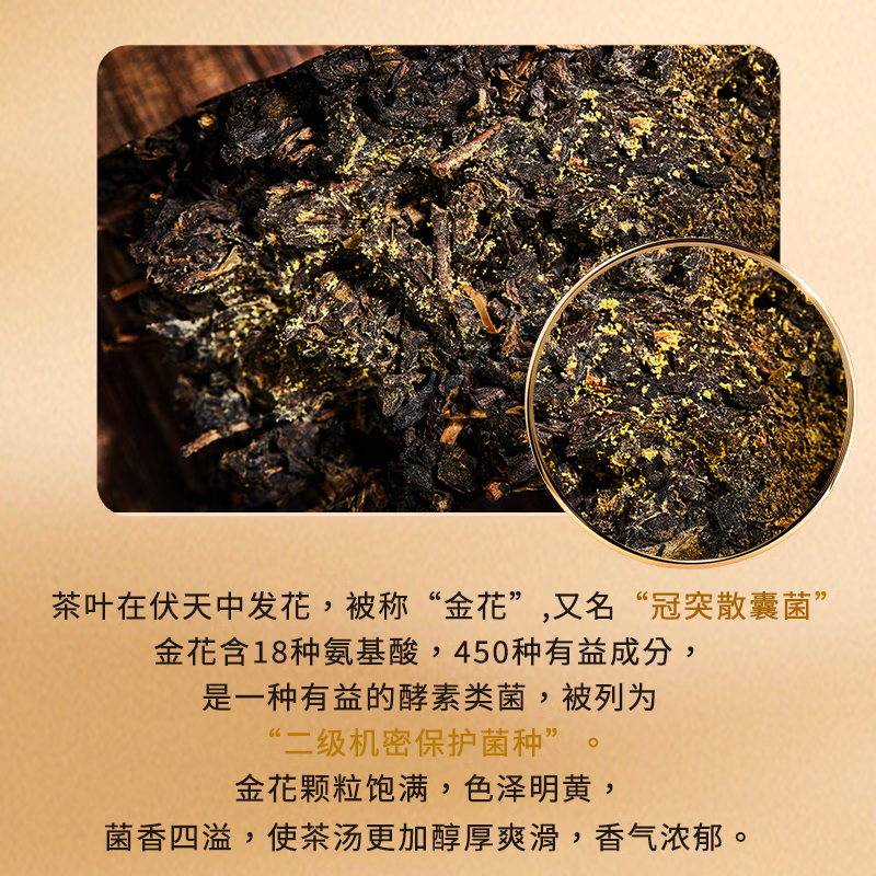 Sheng'an Chang buy 1 get 1 free special Jingyang Fu tea black tea tea Shaanxi Xi'an specialty gift New Year's Day gift box 400g