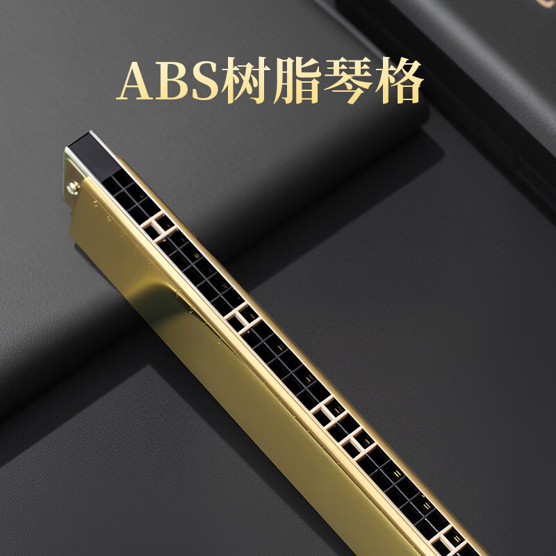 Guoguang 28-hole wide-range harmonica with scale accent in C (silver, resin box)