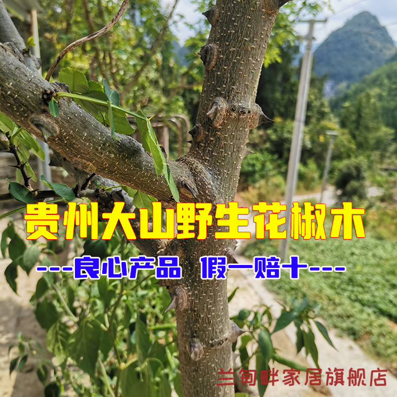 Zanthoxylum bungeanum log handmade jewelry wild Zanthoxylum bungeanum branch DIY production of molar stick carving handle original 3cm thick * 10cm long 2 pieces