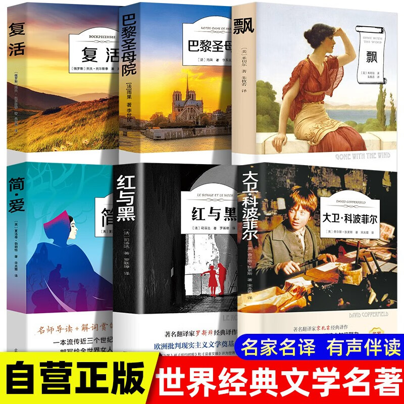 A total of 6 volumes of world famous novels Resurrection + Gone with the Wind + Notre Dame de Paris + Jane Eyre + The Red and the Black + David Copperfield. Classic novels of world literature must-read for middle school students and extracurricular reading for junior high school students.