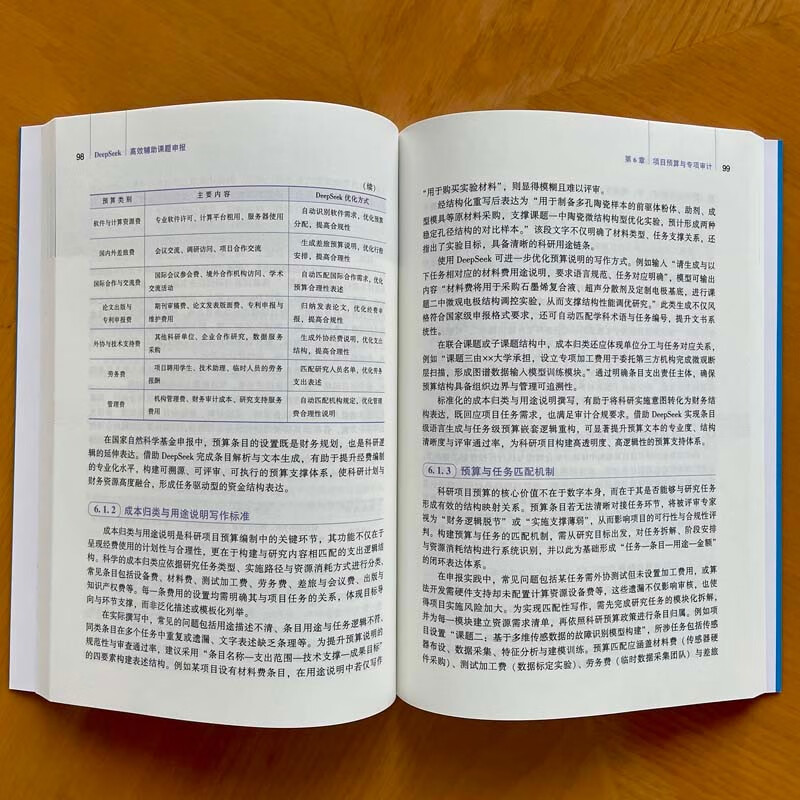 DeepSeek efficiently assists project declaration