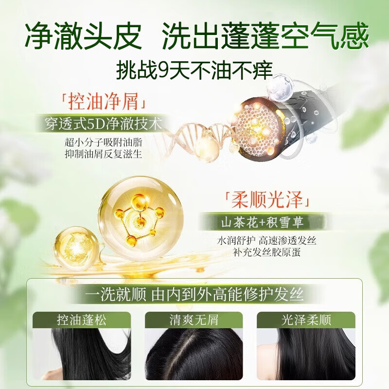 SEEDONVEUR camellia shampoo anti-dandruff oil control fluffy long-lasting fragrance hydrating large capacity 800ml