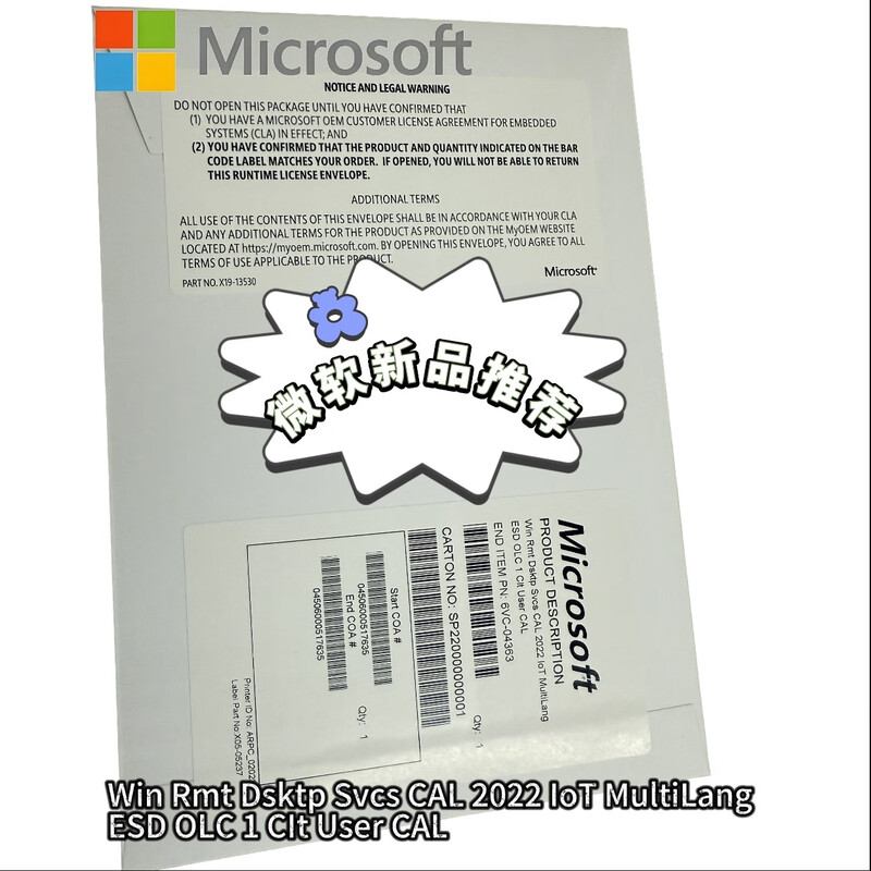 Win Rmt Dsktp Svcs CAL 2022 IoT MultiLang ESD OLC 1 System Software