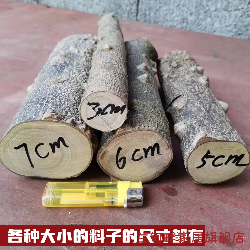 Zanthoxylum bungeanum log handmade jewelry wild Zanthoxylum bungeanum branch DIY production of molar stick carving handle original 3cm thick * 10cm long 2 pieces