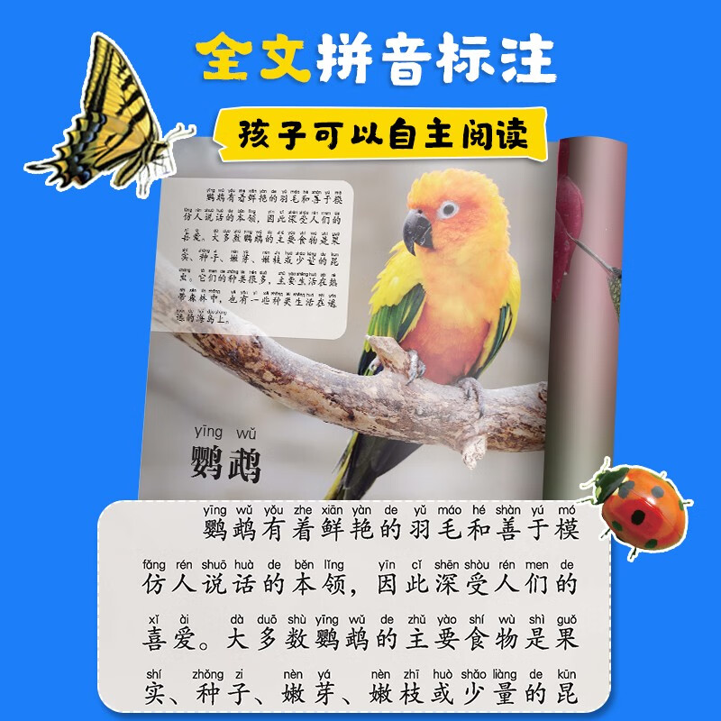 Free shipping for one piece Children's Eye View of the World 4 volumes Birds, Animals, Dinosaurs and Insects 4-8 year old children see pictures and recognize objects Kindergarten Enlightenment Puzzle Early Education Picture Book Encyclopedia Full Set of Color Pictures and Phonetic Notation