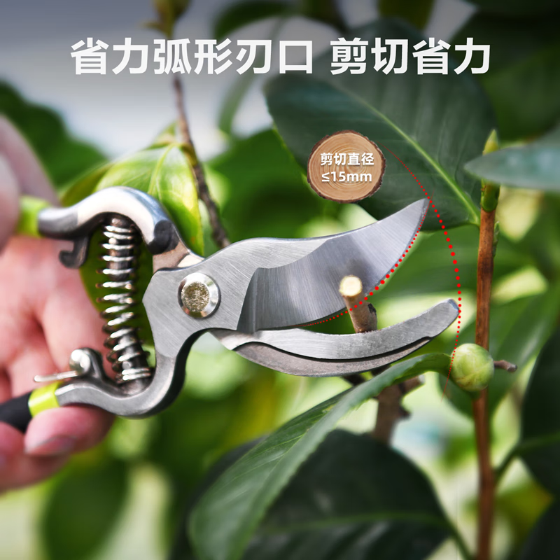 Deli pruning scissors, flower pruners, fruit tree gardening pruners, labor-saving pruning scissors, flower pruners, 8 inches DL2778