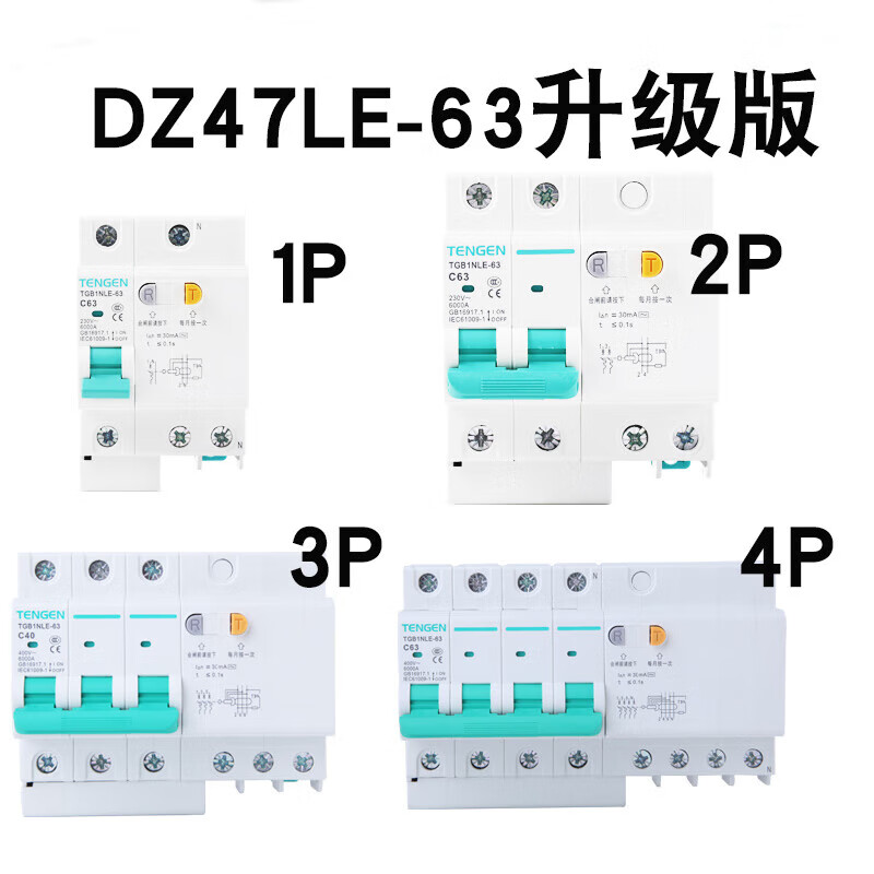 Tianzheng air switch with leakage protector TGB1NLE household circuit breaker 220 leakage protection air conditioner 2P32a63a 100A 2P