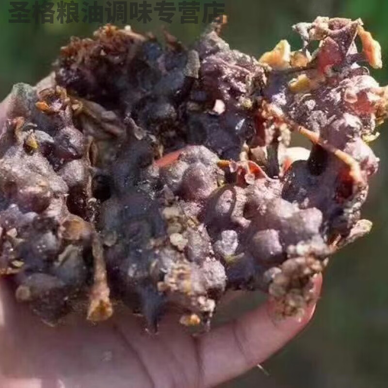 Hongyun Yunnan native honey earth sour honey tree sour honey stingless bee Xishuangbanna pregnant women Yunnan crystal tree cave honey two pounds free of charge in plastic bottles