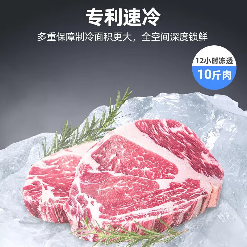 Xingx (XINGX) freezer household first-class energy-saving alloy liner refrigerator freezer refrigeration conversion cabinet small freezer commercial horizontal single-temperature copper tube automatic defrost first-class energy-saving alloy liner 200 liters