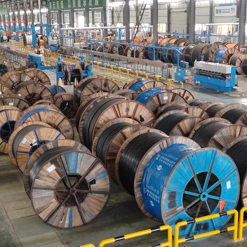 Dingxian wire and cable national standard RVV 5*6 square copper core wire five-core multi-strand copper wire charging pile cable 1 meter