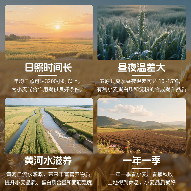 Xinle Snow Pollen Powder Inner Mongolia Hetao Plain Snow Pollen National Landmark Green Food No Additive All-purpose Flour 10kg