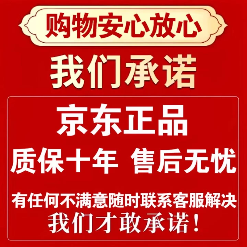 Battery Repairer Fully Automatic Repair Genuine Electric Vehicle Special Intelligent Pulse Activation Repair Charger Universal Smart Chip High Power + Automatic Power Off