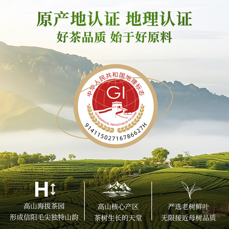 Qichun 2025 Green Tea Xinyang Maojian New Tea Henan Specialty 30g Small Canned Tea Tasting