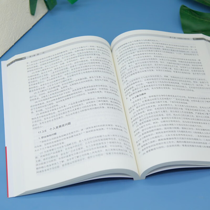 Free shipping, Central State-owned Enterprise Recruitment Guide 2025, Central State-owned Enterprise Recruitment, State-owned Enterprise Recruitment Examination, Questions and Answers on the Way to School Recruitment, Tips on the Job Hunting, School Recruitment Written Test Interview, Job Maze All-In-One