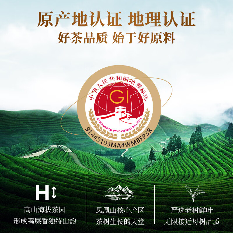 Qichun duck shit fragrant tea Phoenix Dancong spring tea Chaozhou specialty small canned fragrant oolong tea for self-drinking 30g