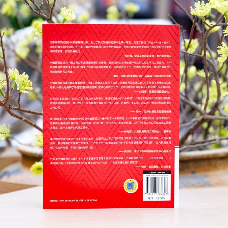 A book to understand market value management