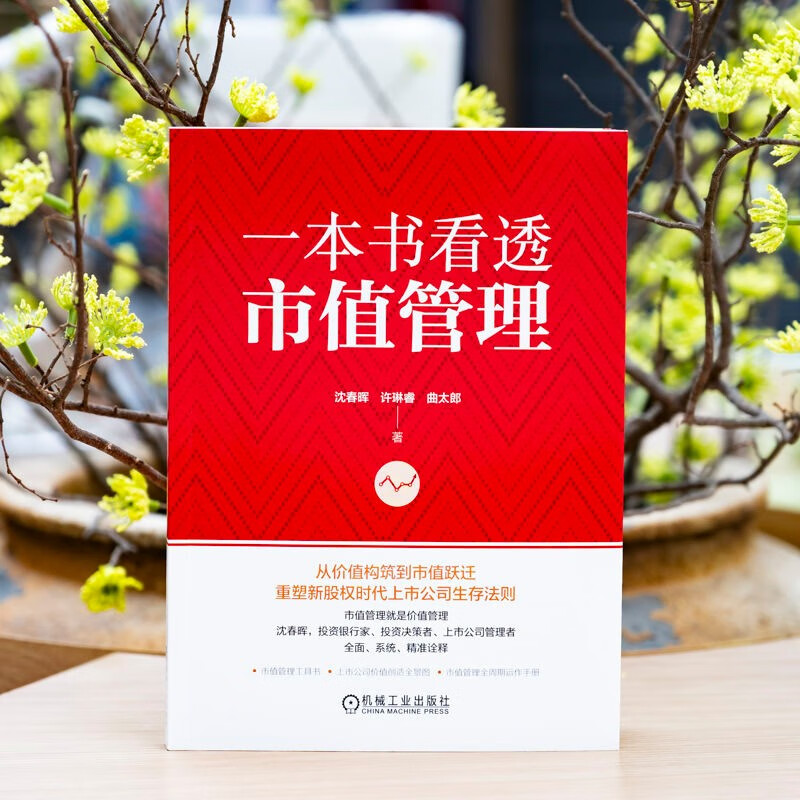 A book to understand market value management