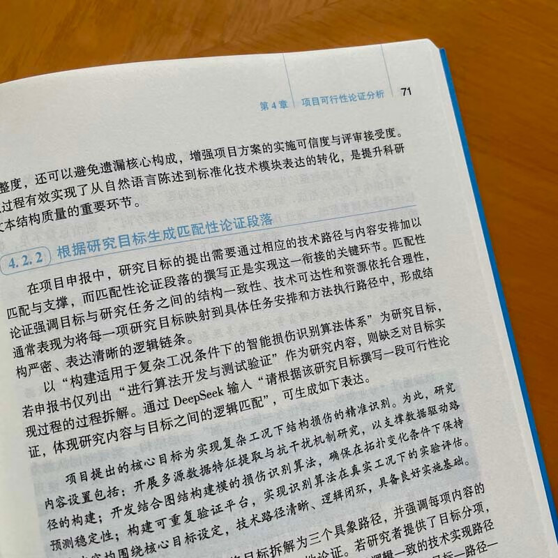 DeepSeek efficiently assists project declaration