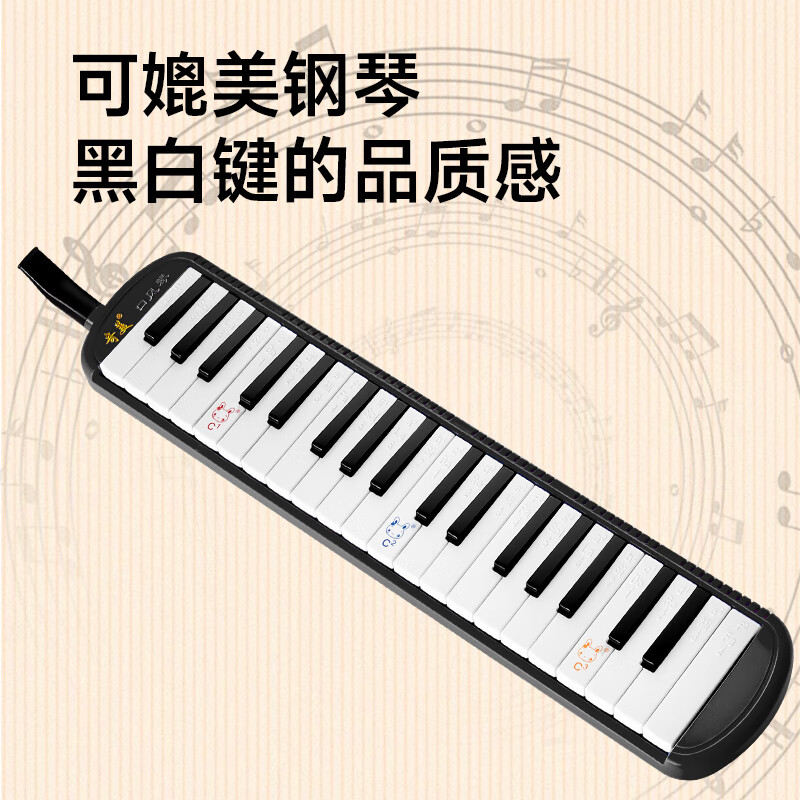 Chimei 37-key Teaching Recommendation Canvas Soft Case Mouth Organ Anzhe (Black, With Playing Instructions)