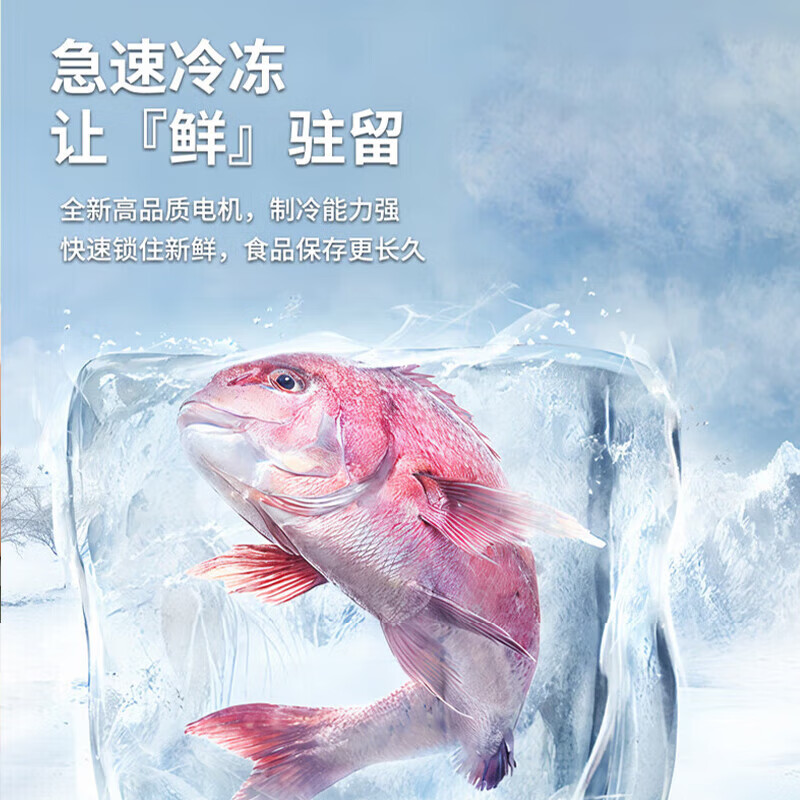 Chigo double-door refrigerator small rental dormitory double-door refrigeration and freezing first-class energy efficiency home large-capacity office refrigerator two-door micro-frost first-class energy efficiency 76L silver foam insulation layer thickened