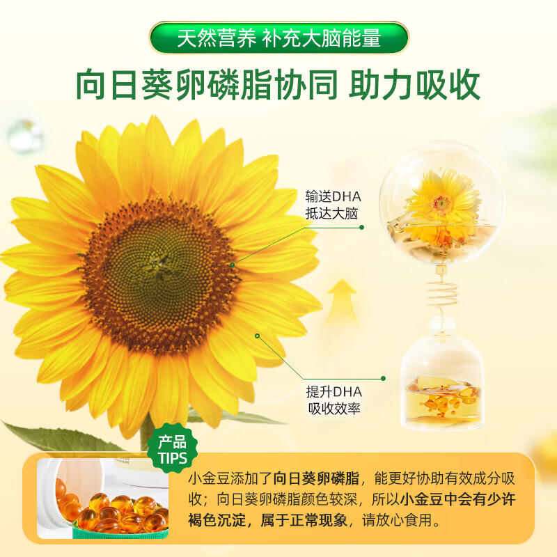 Childhood Time Explosive Small Golden Beads DHA Algae Oil ChildLife Infants, Children and Students Deep Sea Fish Oil 0 Antiseptic Brain Replenishment Natural Algae Oil Algae Oil DHA Capsules 60 capsules*2 bottles