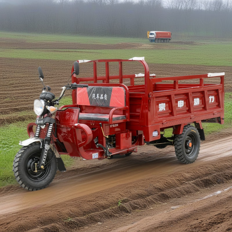 Nongshi flat-seat fuel three-wheeled motorcycle cargo load king water-cooled air-cooled household agricultural double dump bucket climbing king 130 air-cooled 1.1*1.6 compartment horizontal machine automatic clutch