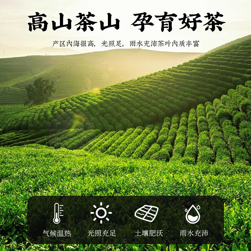 Mingyuan Jin Junmei Black Tea Authentic Special Grade Wuyishan Strong Fragrance Honey Fragrance New Tea You Can Drink New Year's Eve Gifts 125g