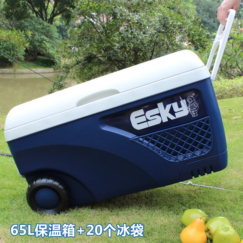 Fantasy Eky box 50 car small 52 outdoor fresh-keeping sea box foam box 65 65L350ml ice brick 4 pieces