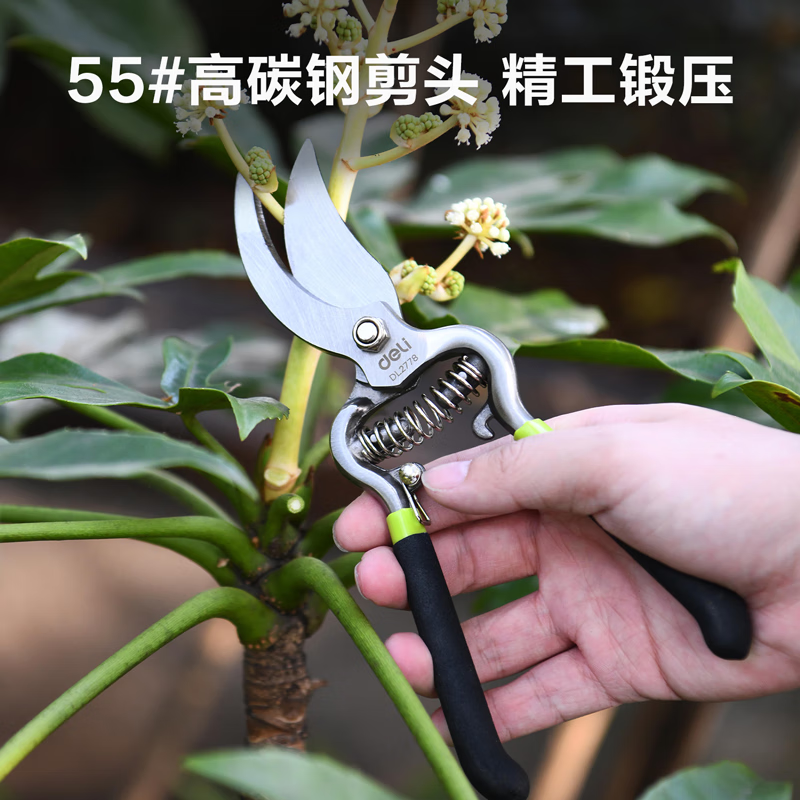 Deli pruning scissors, flower pruners, fruit tree gardening pruners, labor-saving pruning scissors, flower pruners, 8 inches DL2778