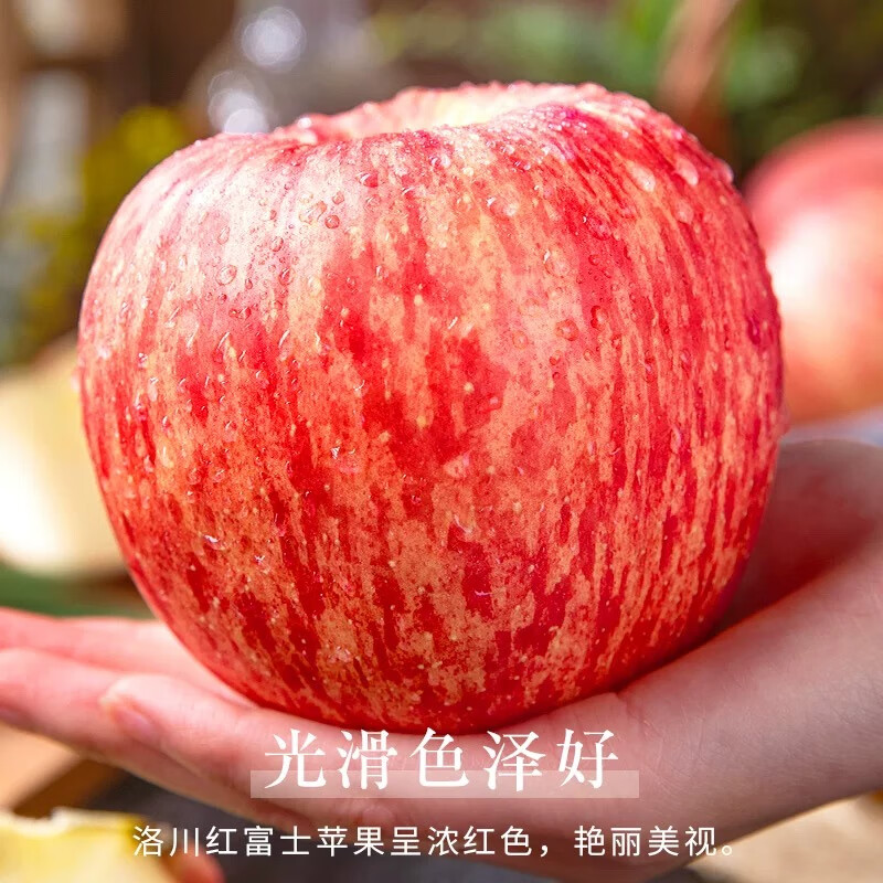 Luochuan Apple Shaanxi Yan'an Red Fuji Apple Fruit Fresh Gift Box Gift Box 15 85mm Large Fruit Apple Seasonal Fruit 15 Pieces 85
