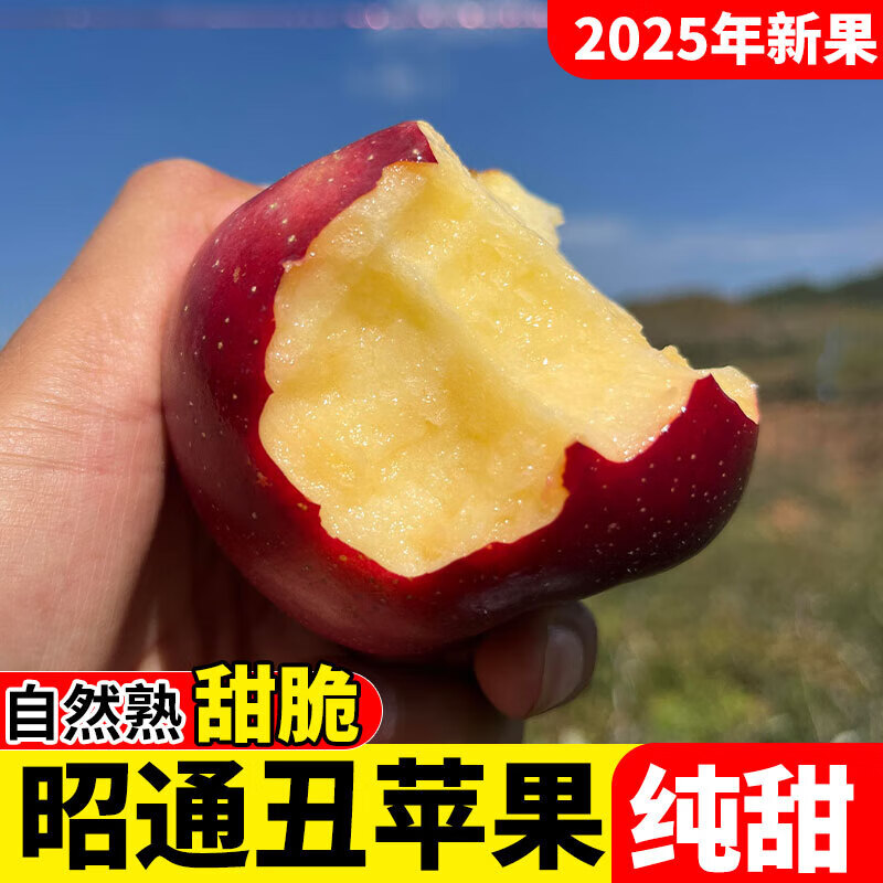 2025 Authentic Yunnan Zhaotong Rock Candy Apple Fresh Fruit Apple Seasonal Crisp Sweet Fruit Origin Straight Hair 9 Jin Pack Extra Large Fruit (90-100mm)
