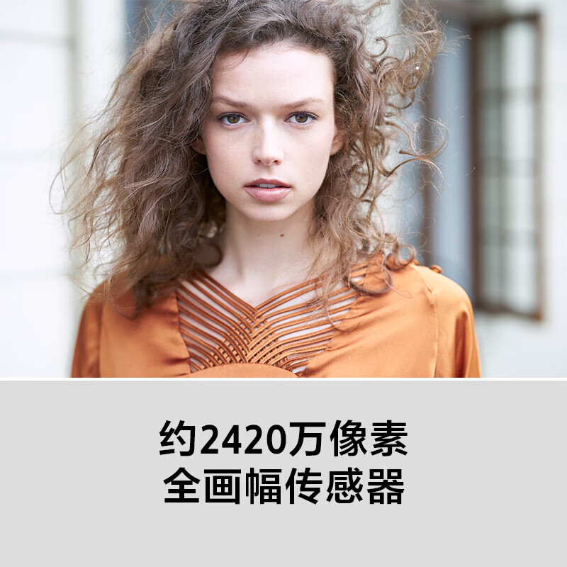 Sony (SONY) mirrorless camera full-frame Alpha 7 III body (a7M3/A73/ILCE-7M3) approximately 24.2 million effective pixels 5-axis anti-shake