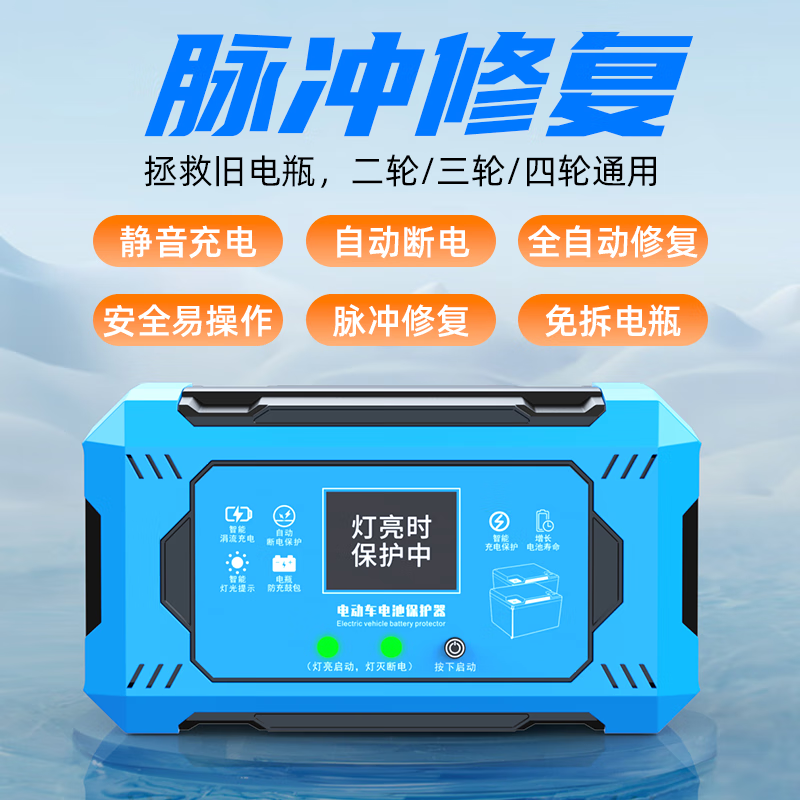 German imported electric vehicle protector restorer new automatic power-off battery car balanced voltage stabilization automatic power-off basic model automatic power-off/5-year warranty