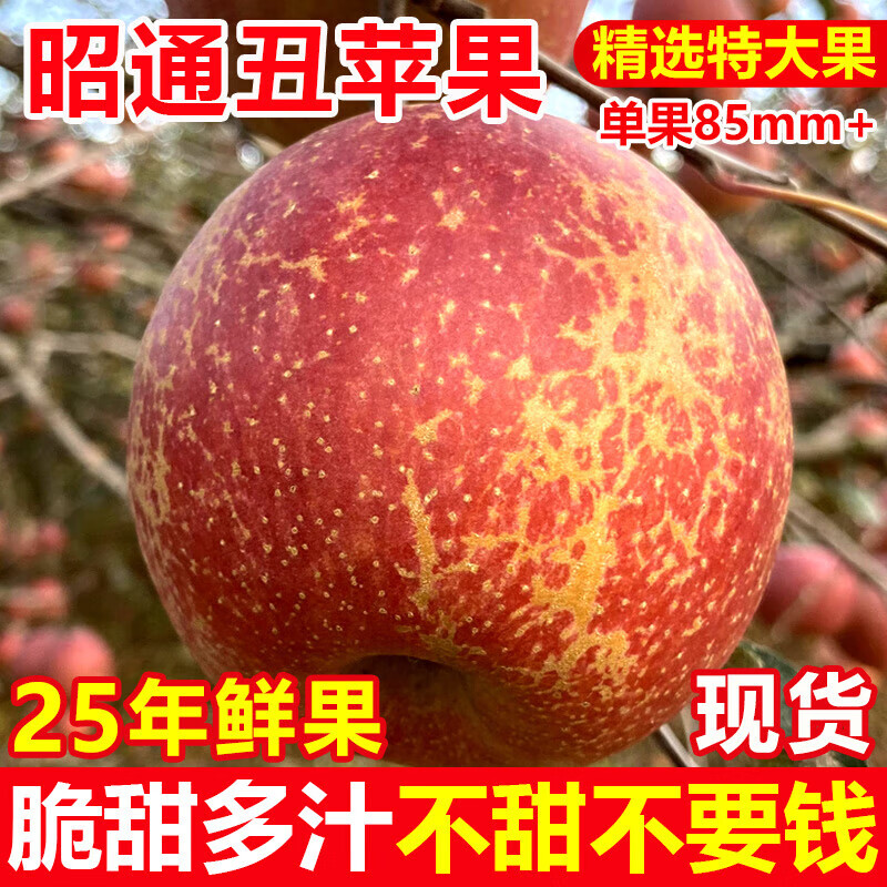 Yunnan Zhaotong rock candy heart ugly apple fruit fresh seasonal whole box Fuji red dew apple crispy sweet Mid-Autumn Festival selected fruit single fruit 50-60mm 2 catties trial pack
