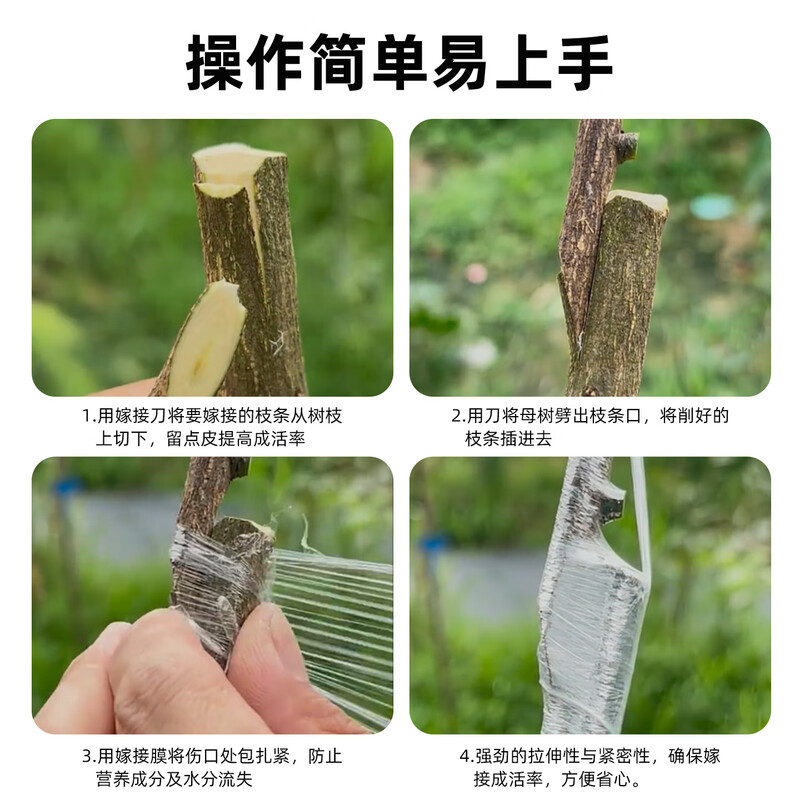 Ai Ruidun grafting special PE thickened film straps without knotting, agricultural fruit tree wrapping film, self-adhesive wrapping film, 200 meters long, 3 cm wide (1 pack)