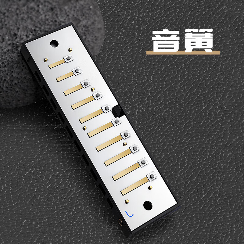 Guoguang 10-hole blues ten-hole blues harmonica in C key, resin case, gold