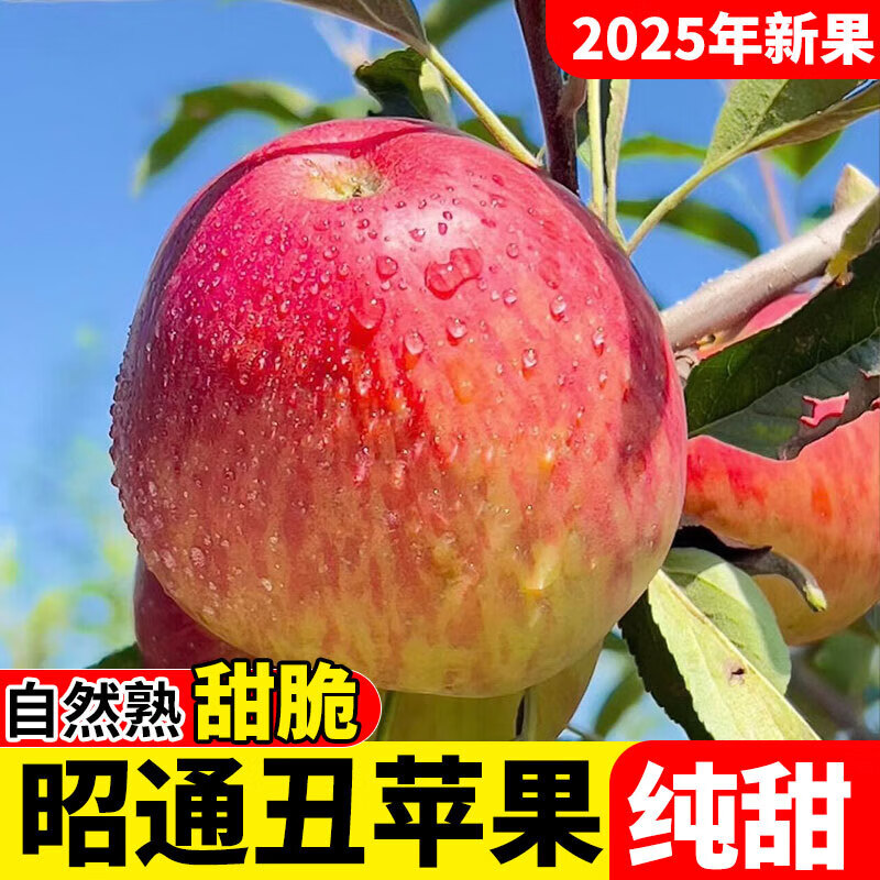 25-year-old Yunnan Zhaotong Ugly Apple Rock Candy Heart Authentic Gift Box Fresh Apple Fruit Seasonal Whole Box Flat Fruit 9 Jin Packed Large Fruit (80-90mm)