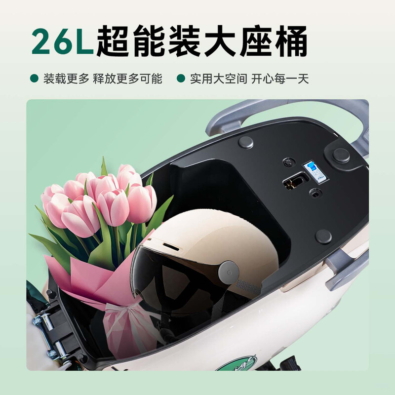 Racing pigeon electric light motorcycle Ruili 115KM long-range 72V32Ah lead-acid battery high-power high-end battery car for women high-looking commuter electric car pearlescent green