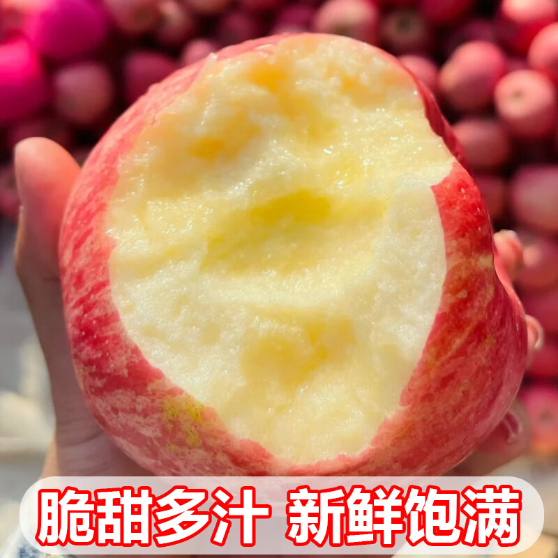 Uncle Sam's Apple Red Fuji Apple Next Day Delivery to Multiple Places Fruit Apple Fruit Gift Box for New Year's Eve Gifts 7A Sweetness Upgrade Specially Selected Large Fruits Single Fruit 80-85mm Exquisite Gift Box 5 Jin Pack | Selection One by One | Great Gift Giving