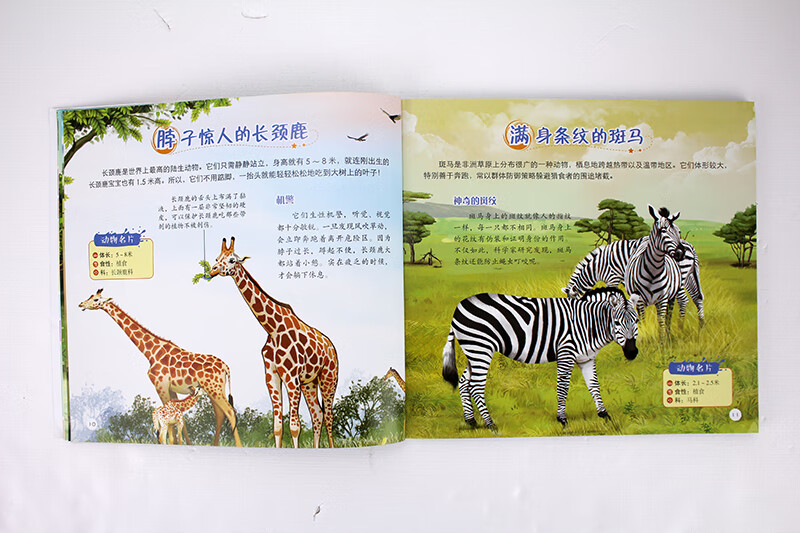 Children's Eyes Know the World Animal World