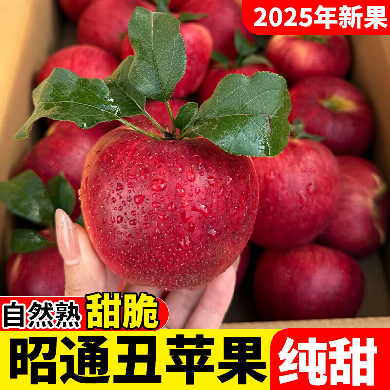 2025 Authentic Yunnan Zhaotong Rock Candy Apple Fresh Fruit Apple Seasonal Crisp Sweet Fruit Origin Straight Hair 9 Jin Pack Extra Large Fruit (90-100mm)