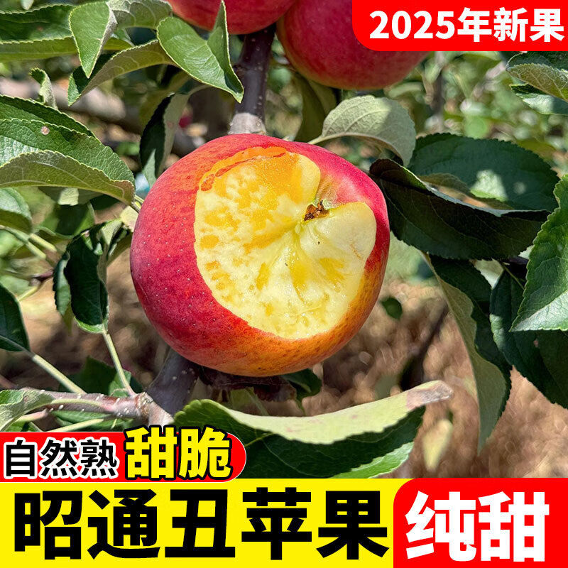 2025 Authentic Yunnan Zhaotong Rock Candy Heart-Chou Apple Fresh Fruit Apple Seasonal Crisp Sweet Fruit Origin Straight Hair 3 catties Large Fruit (80-90mm)