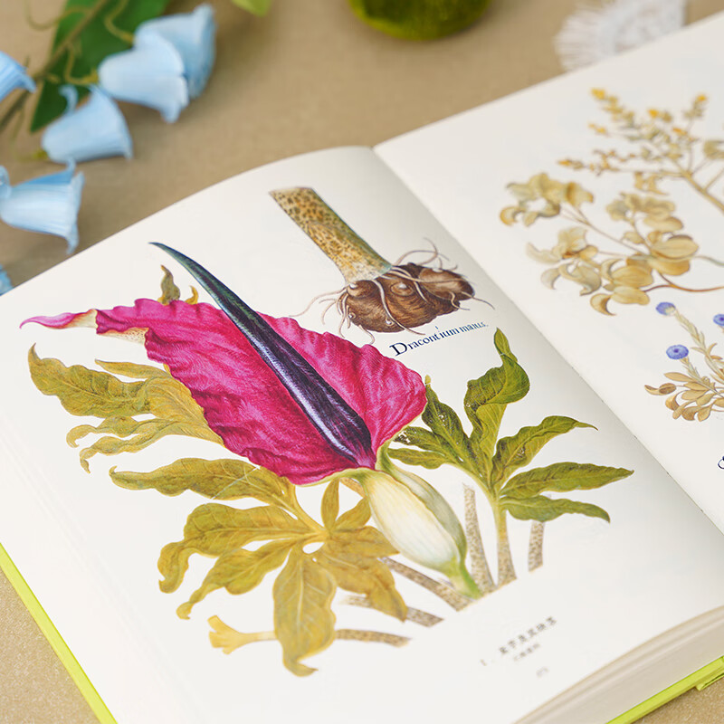 China National Geographic Illustrated Book of Flora and Fauna Butterfly Bible Plant Bible Officially Authorized by the Museum Plant Butterfly Flower Atlas Butterfly Bible + Plant Bible (two-volume set)